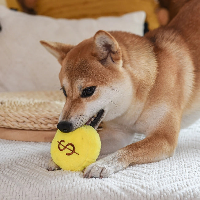 Interactive Dog Toy - Treasure Bag