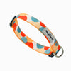 Dog Collar - Dancing Dots