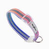 Dog Collar - Cotton Candy