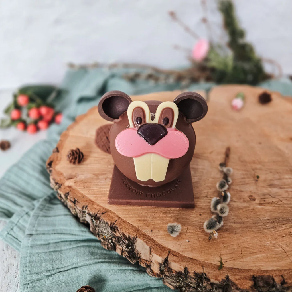 Jules le Castor - Fays