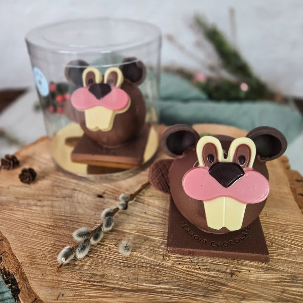 Jules le Castor - Fays