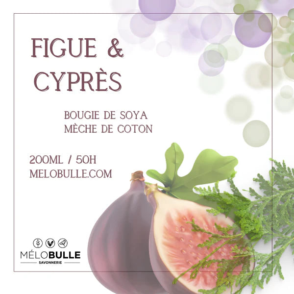 Bougie figue & Cyprès - Mélobulle