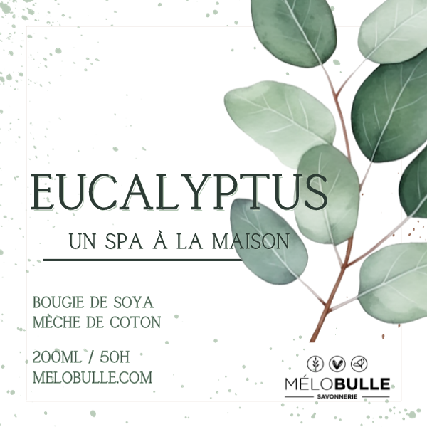 Bougie eucalyptus