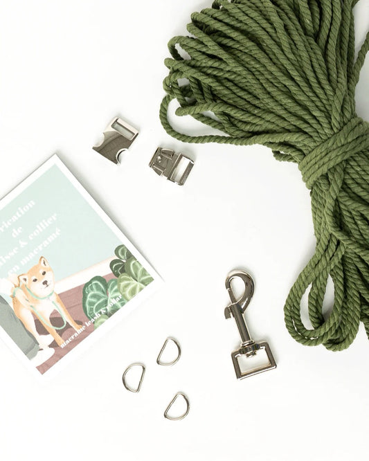 Fabrication d'une laisse de chien et collier en macramé - Brin Brun