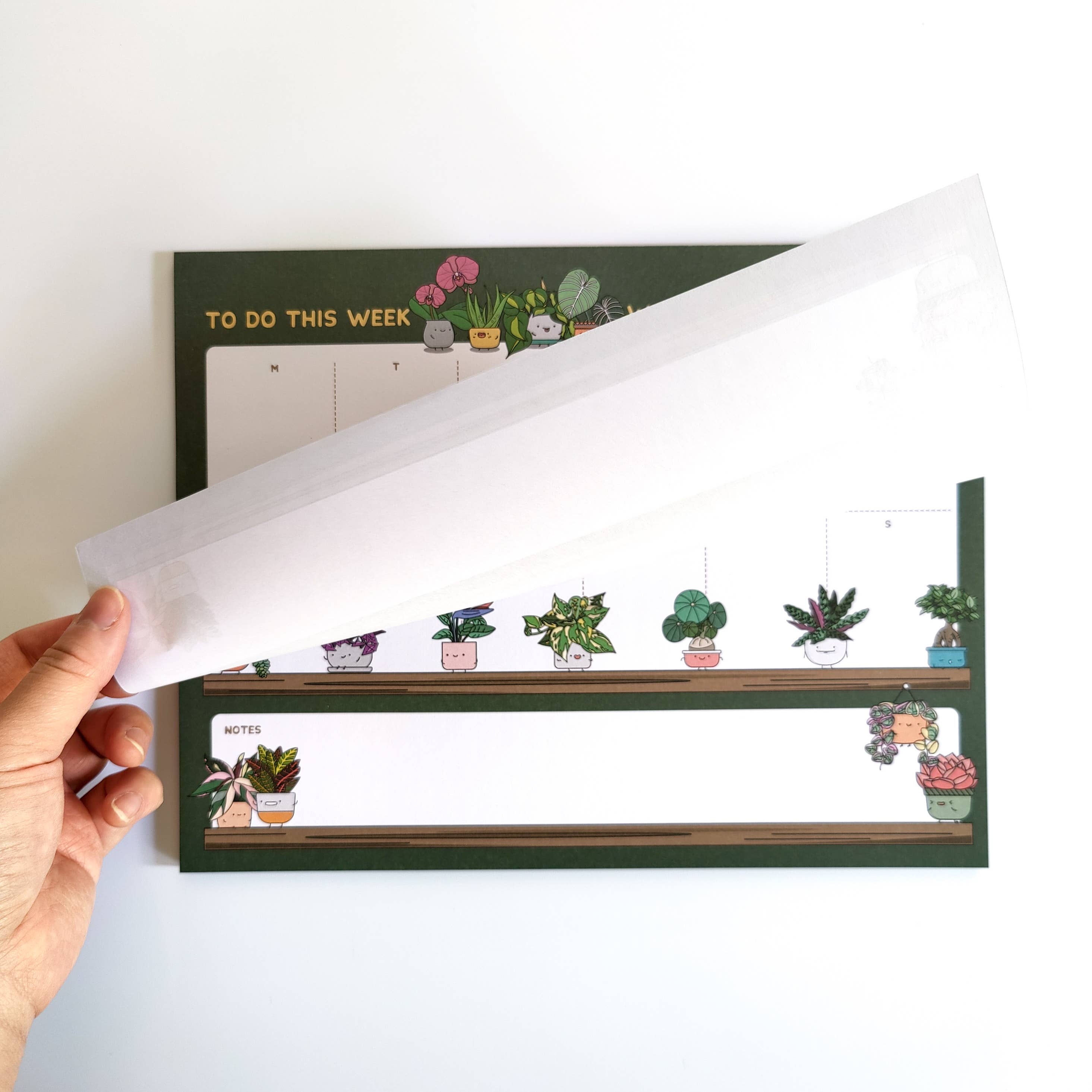 Agenda hebdomadaire Plant Buddies